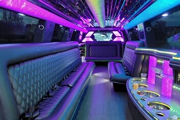 Sugar Land Limo Interior